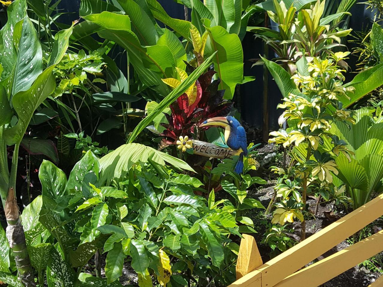 Red Frog Hotel La Fortuna Екстериор снимка
