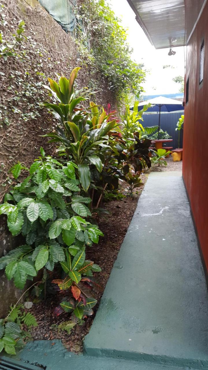 Red Frog Hotel La Fortuna Екстериор снимка