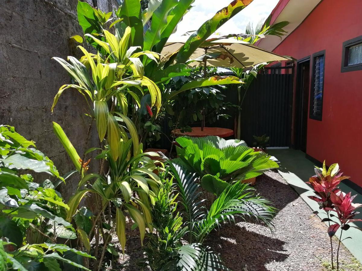 Red Frog Hotel La Fortuna Екстериор снимка
