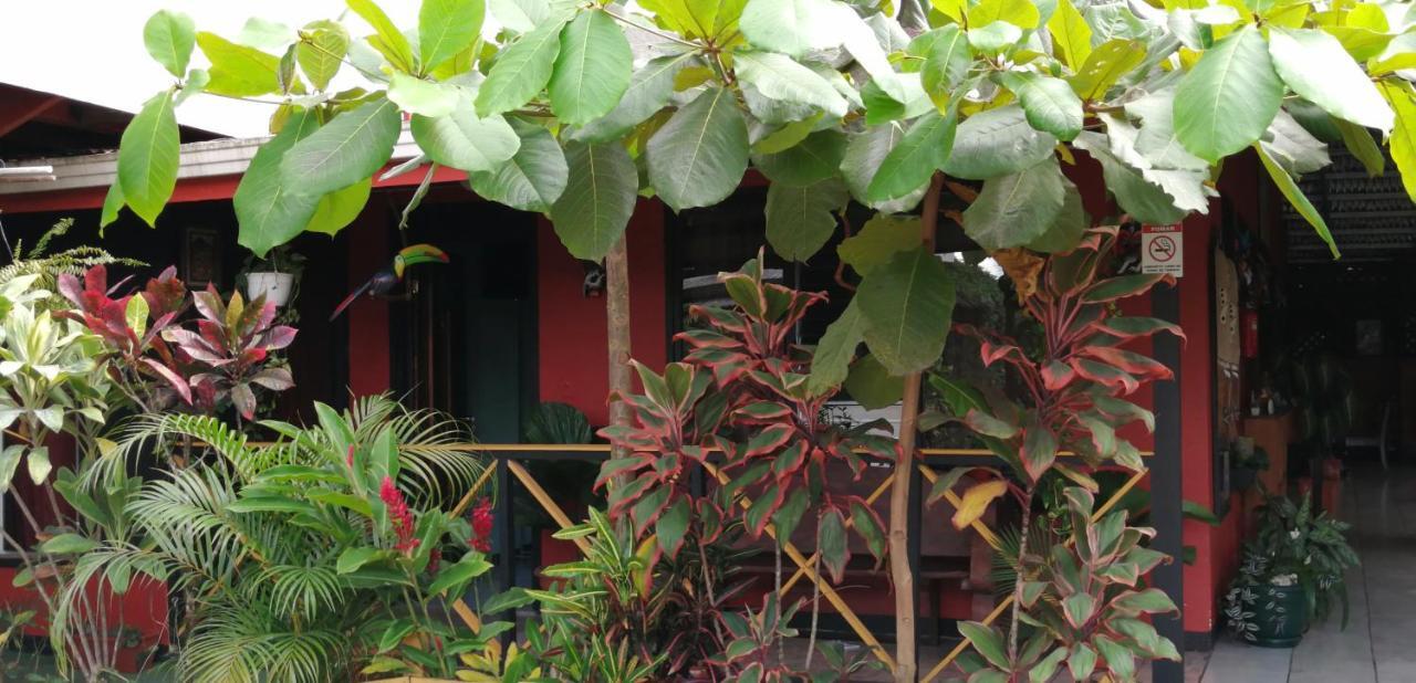 Red Frog Hotel La Fortuna Екстериор снимка
